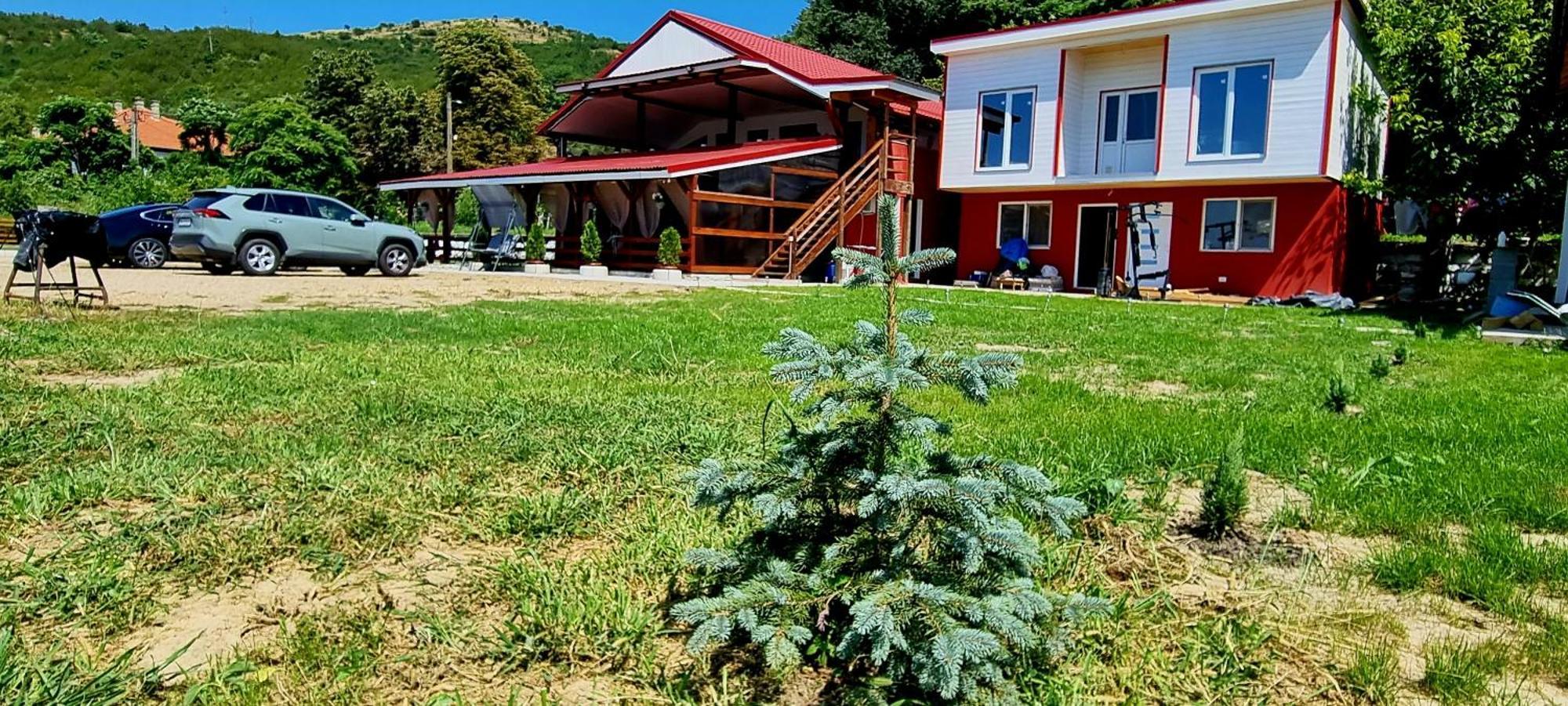 Bazias Vila Legrand المظهر الخارجي الصورة